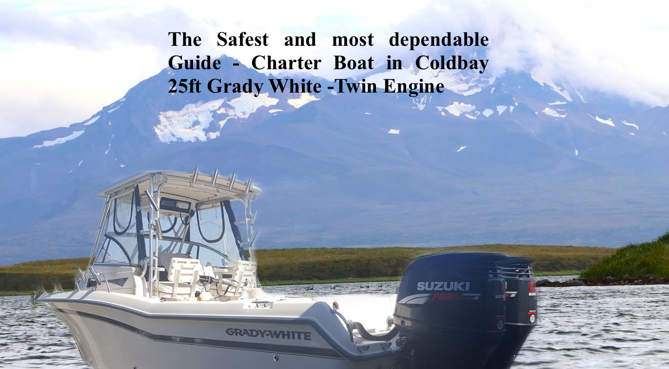 Coldbay Charter fishing