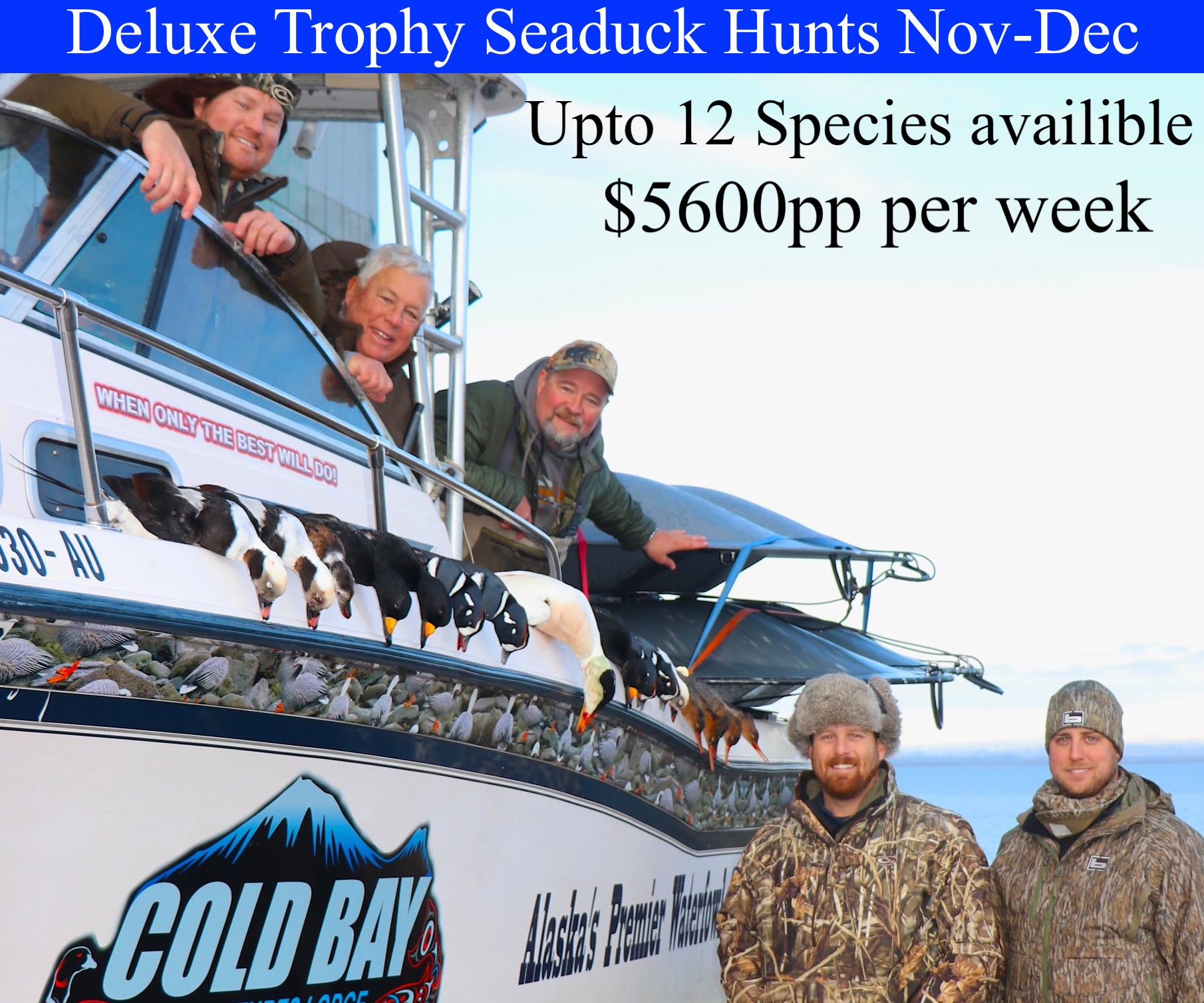 Trophy Seaduck hunts Alaska
