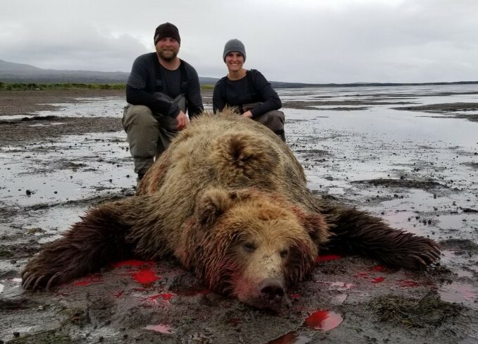Peninsula Brown Bear hunting