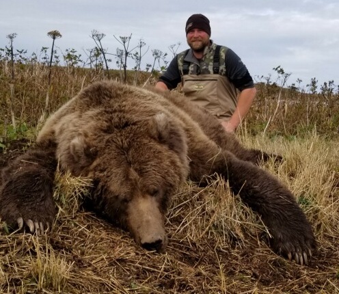 Peninsula Brown Bear hunting Cold Bay Alaska