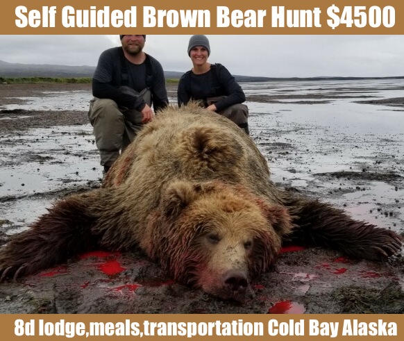 self guided Brown Bear Hunt