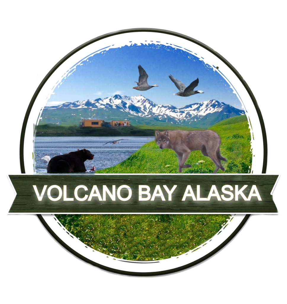 Volcano Bay Alaska